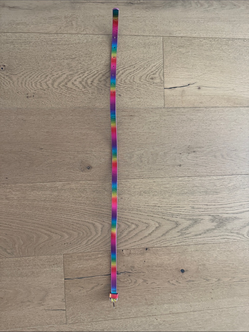 Rainbow Striped Adjustable Belt